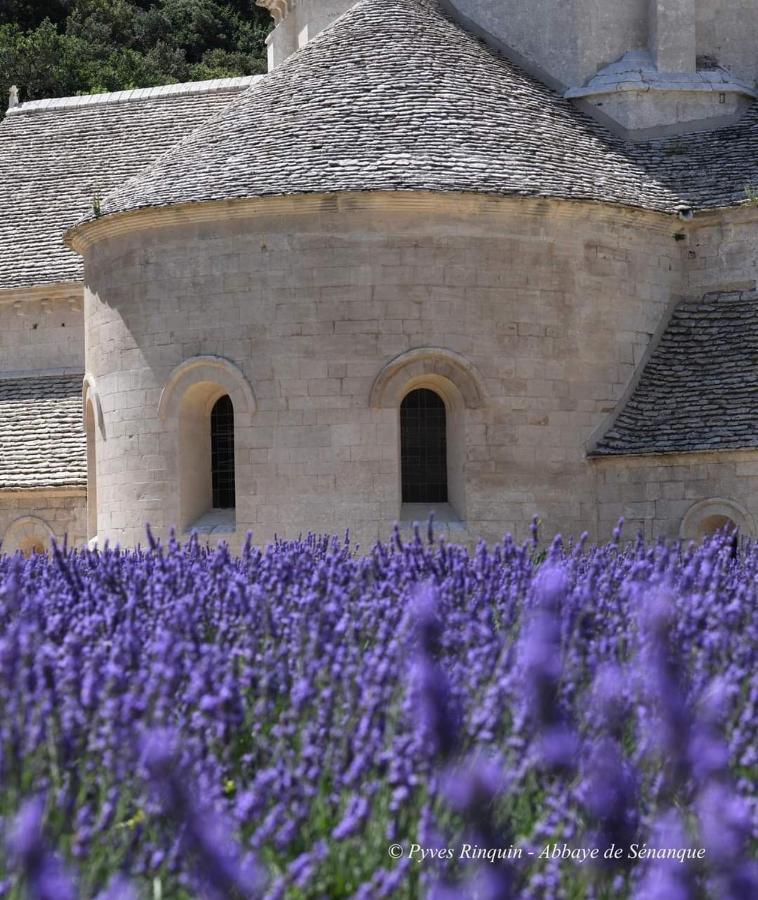 Entre Ventoux Et Luberon Chambre D'Hote Sault Extérieur photo
