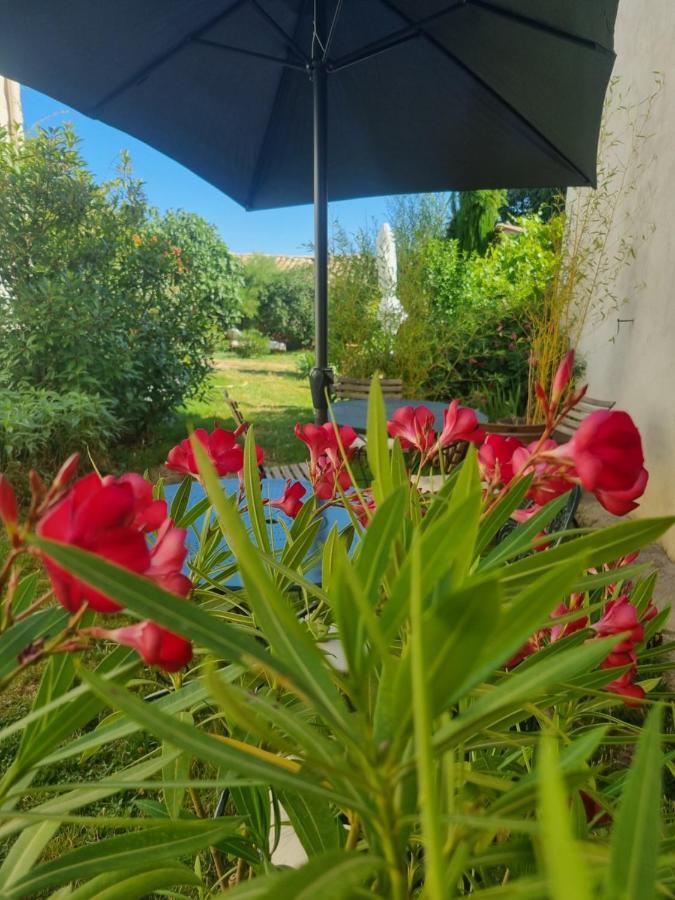 Entre Ventoux Et Luberon Chambre D'Hote Sault Extérieur photo