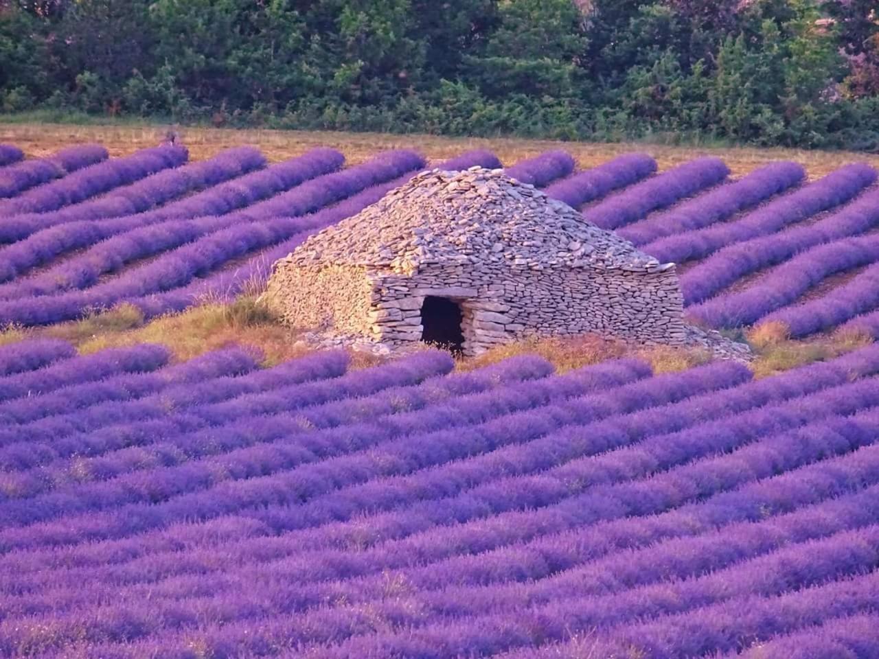 Entre Ventoux Et Luberon Chambre D'Hote Sault Extérieur photo